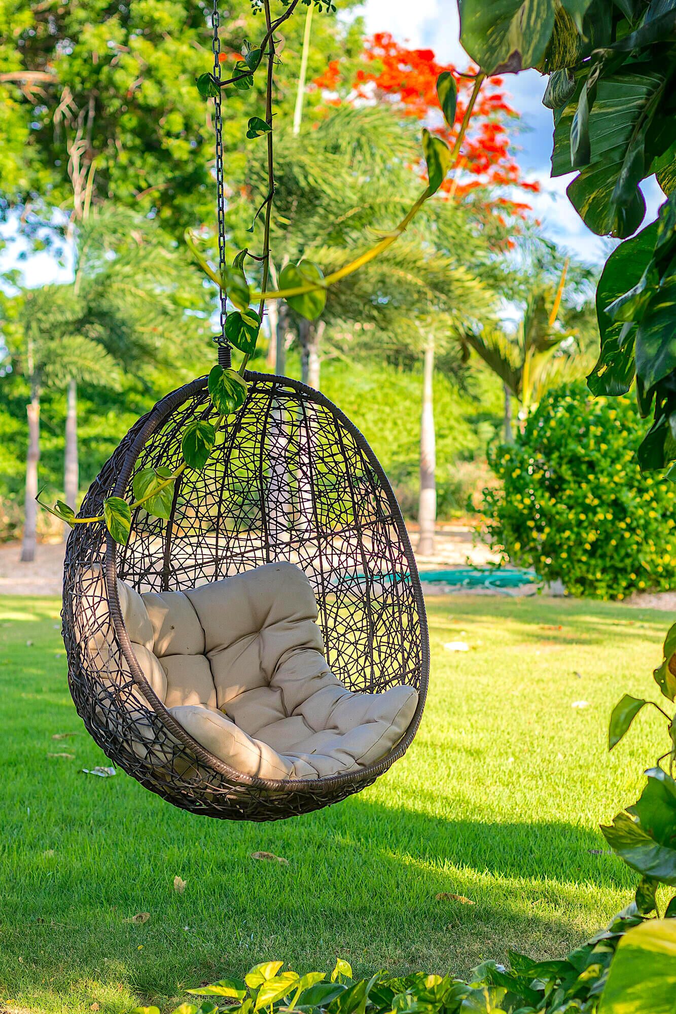 Un fauteuil suspendu, doté d’un siège et d’un dossier rembourrés, maintenu par une chaîne dans un jardin luxuriant.