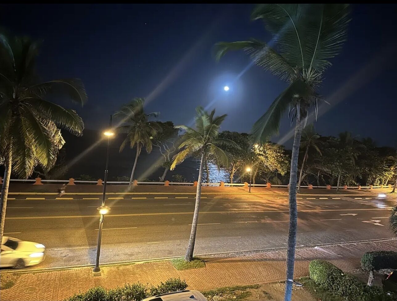 A nighttime street scene with palm trees, streetlights, and a car.