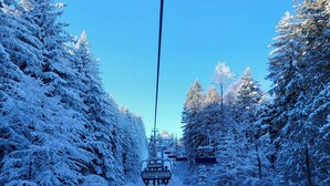 En snötäckt skidlift i en skog.