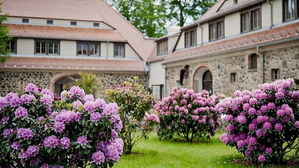 A courtyard with a stone building, surrounded by lush greenery and flowering shrubs. - Gut am See Hotel & Restaurant  (Görlitz)