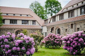 Une cour intérieure avec un bâtiment en pierre, entourée d’une végétation luxuriante et d’arbustes en fleurs.