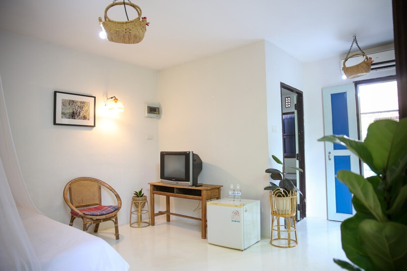 Standard Single Room, 1 King Bed, Bathtub, Garden View | Television