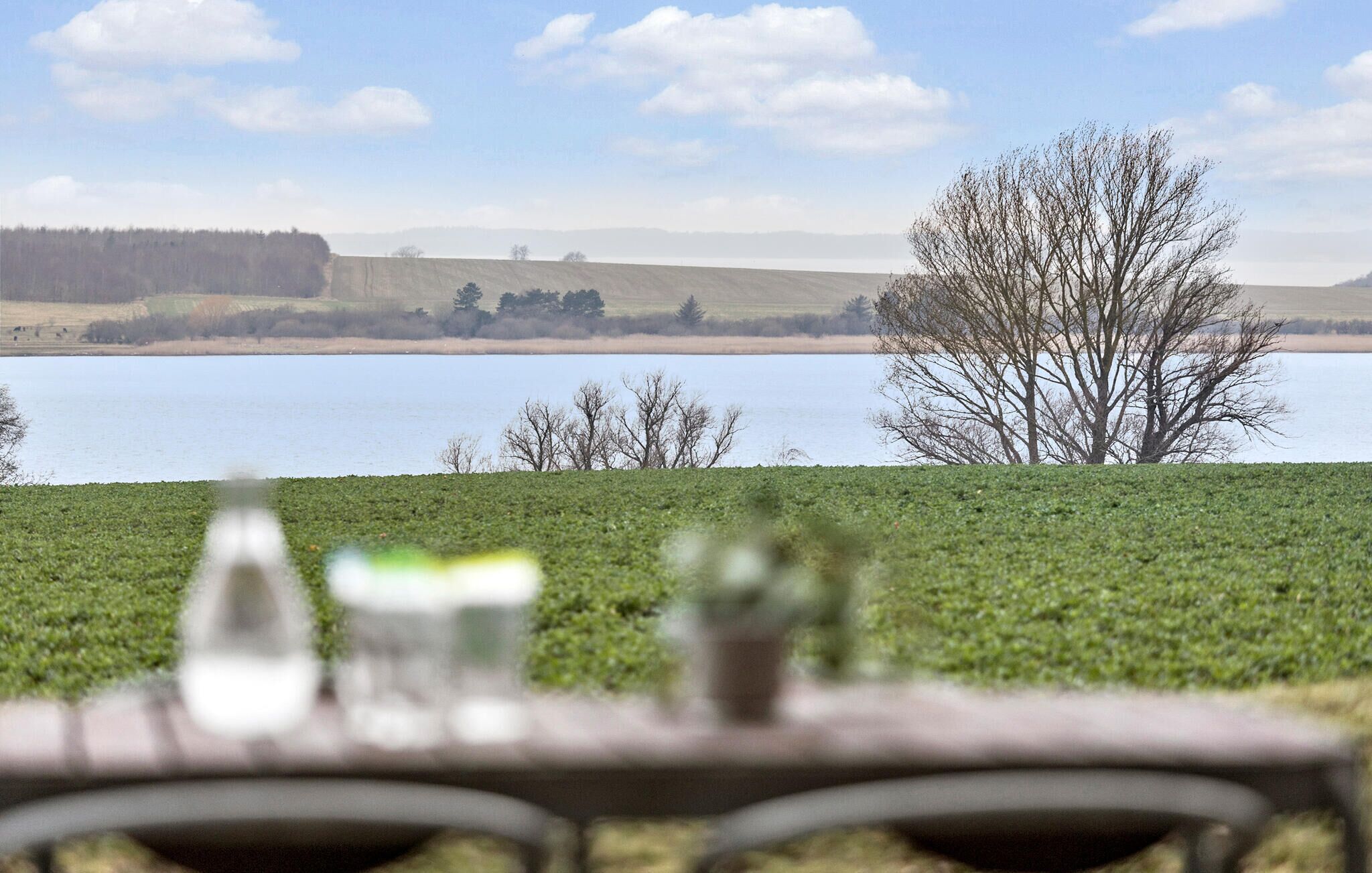 Una mesa con una botella y una copa, con vista a un lago, un árbol y colinas lejanas.