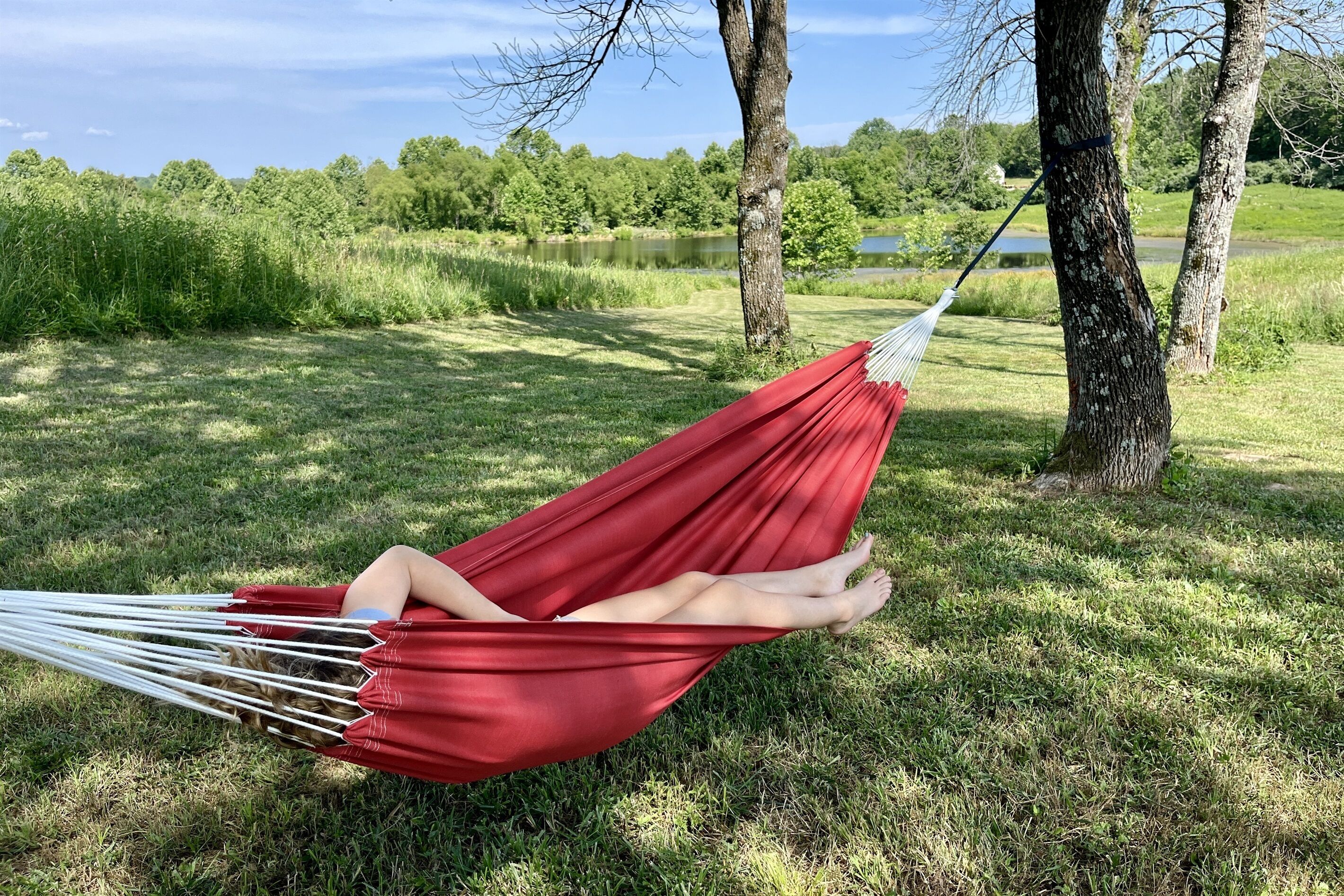 A hammock tied between two trees in a grassy area with a lake and trees in the background.