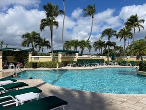 A swimming pool with lounge chairs and palm trees.
