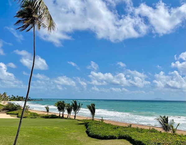 A coastal view with a clear sky, palm trees, and a beach.