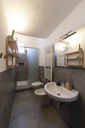 Dusche, Haartrockner, Bidet, Handtücher