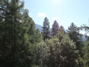 Miscellaneous - Quiet studio for 6, near shops and slopes, parking, pets allowed (Les Orres)