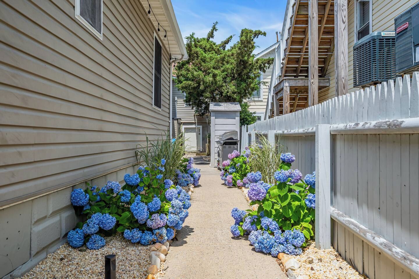 A narrow pathway flanked by two-story buildings with a white picket fence and hydrangea bushes.