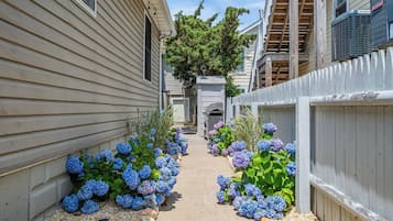 A narrow pathway flanked by two-story buildings with a white picket fence and hydrangea bushes.