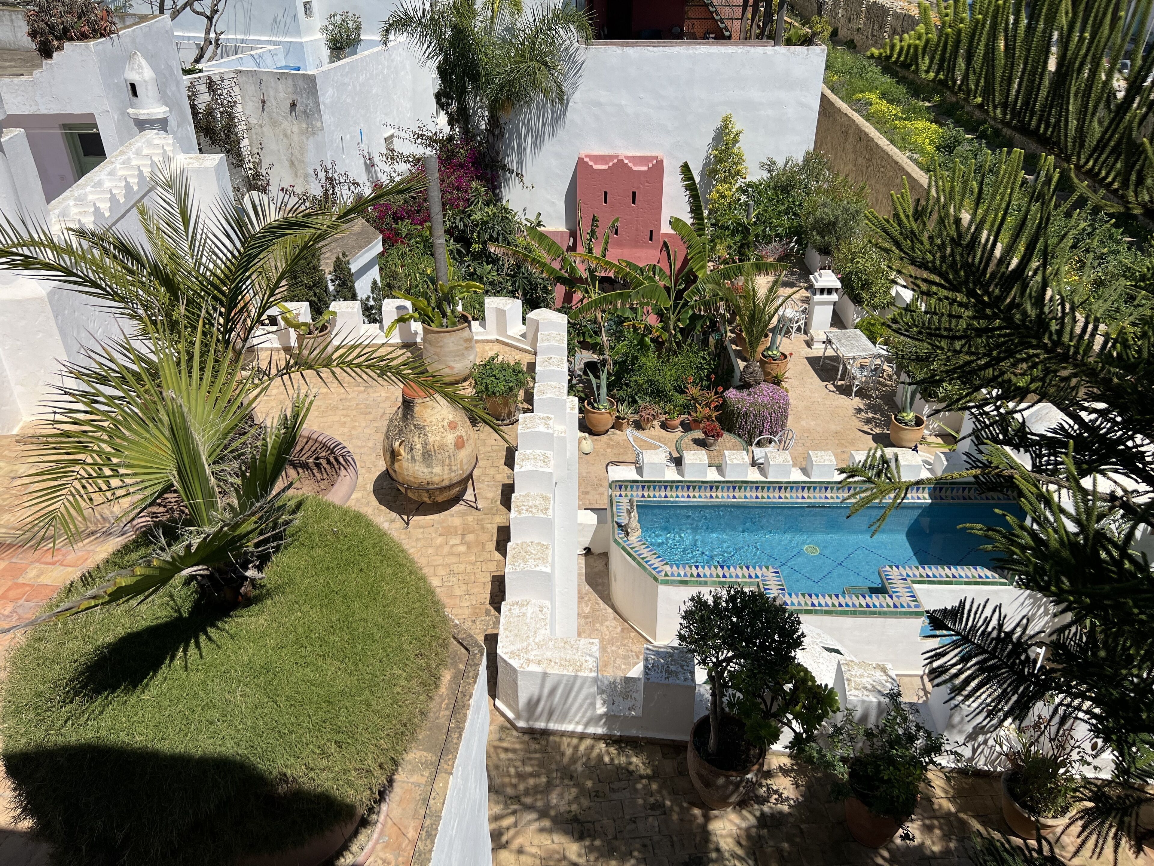 A rooftop pool area with a large pool, surrounded by potted plants and palm trees.