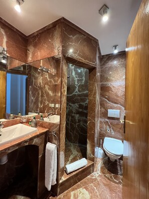 Ducha, cabezal de ducha tipo lluvia, secador de pelo, toallas