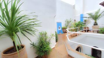 A narrow pathway flanked by potted plants and white walls, leading to a blue door.