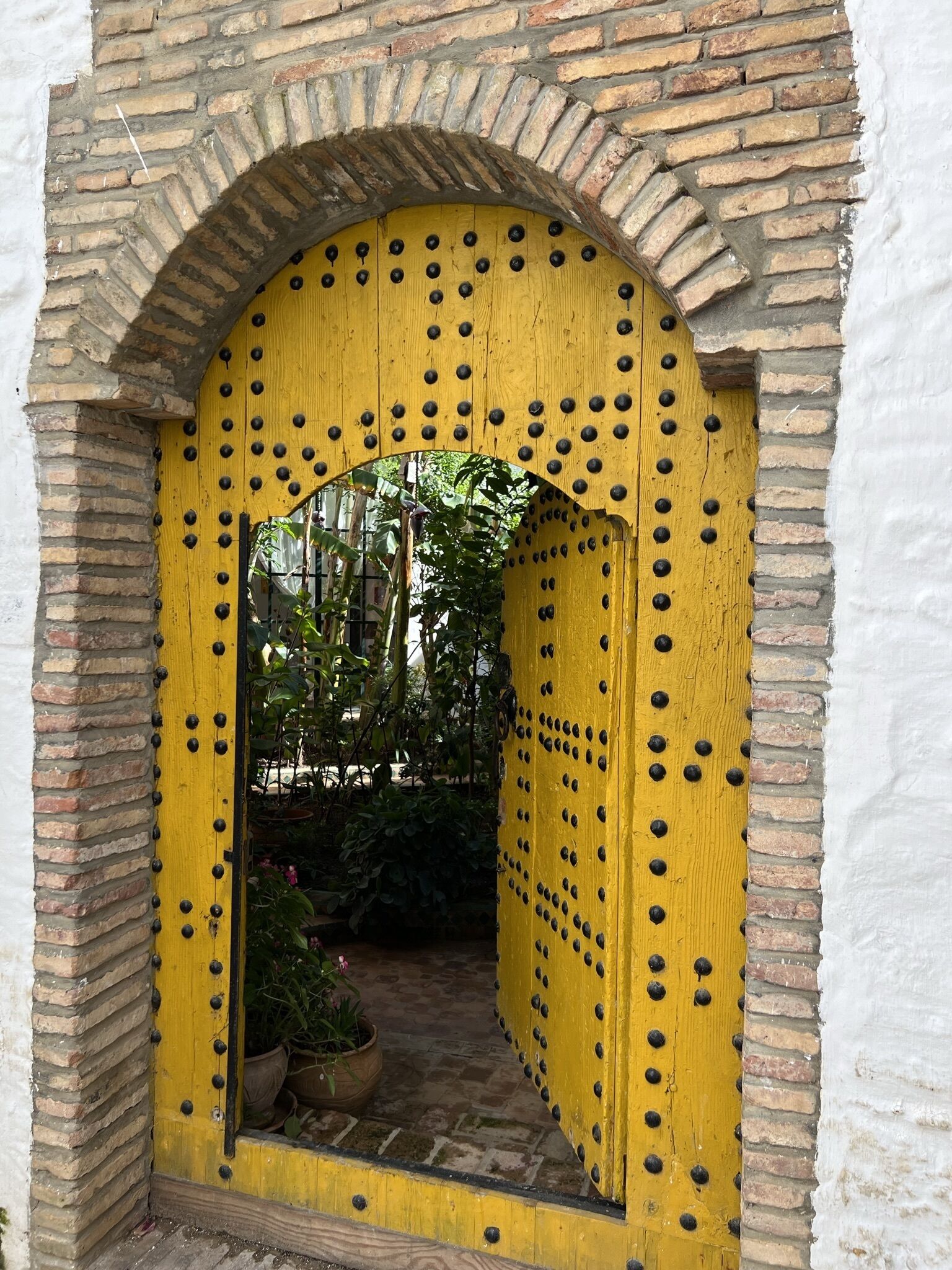 Foto - Riad Oasis d'Asilah