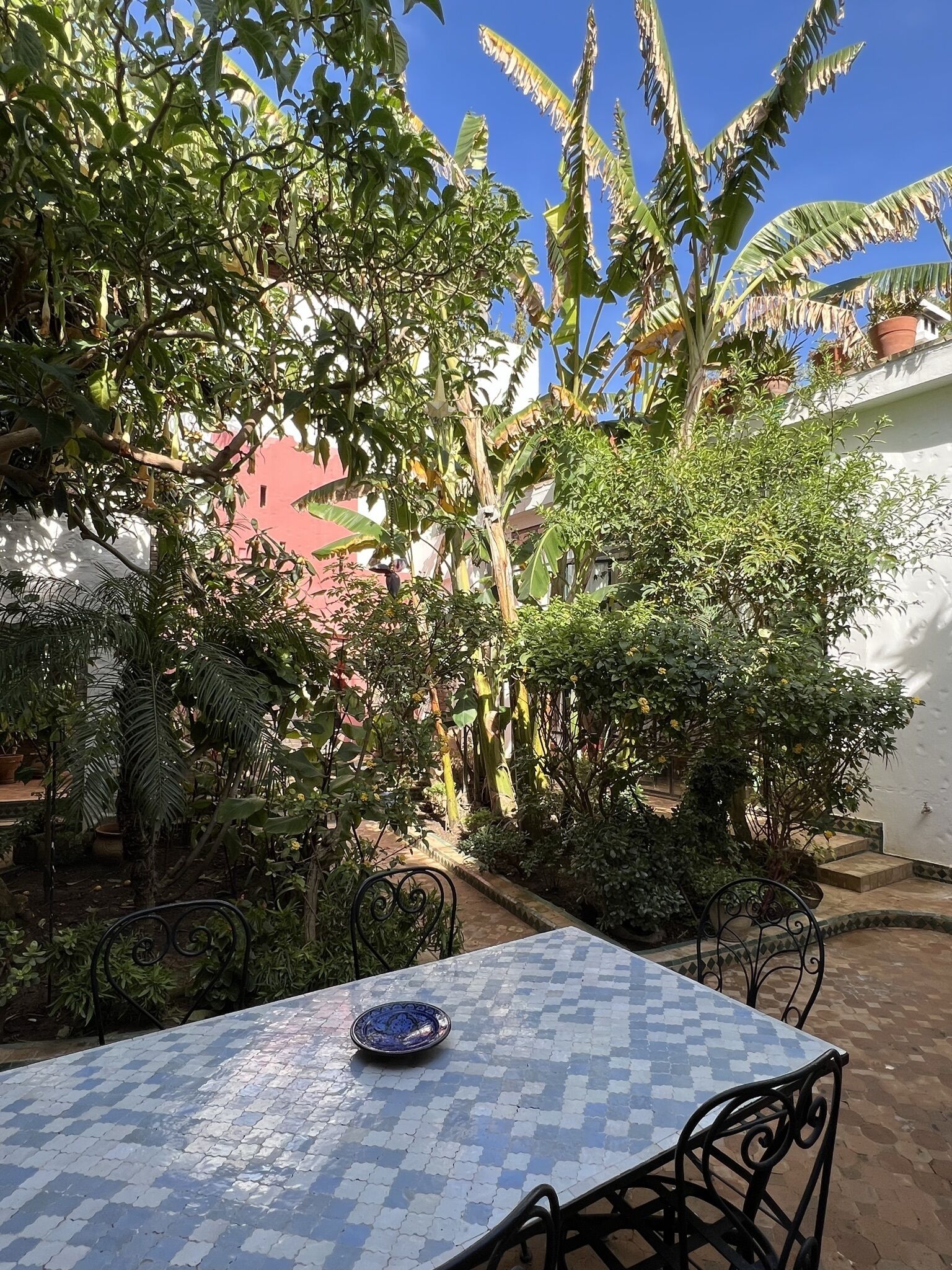 Una terrazza esterna con tavolo e sedie in piastrelle, circondata da vegetazione lussureggiante e piante in vaso.