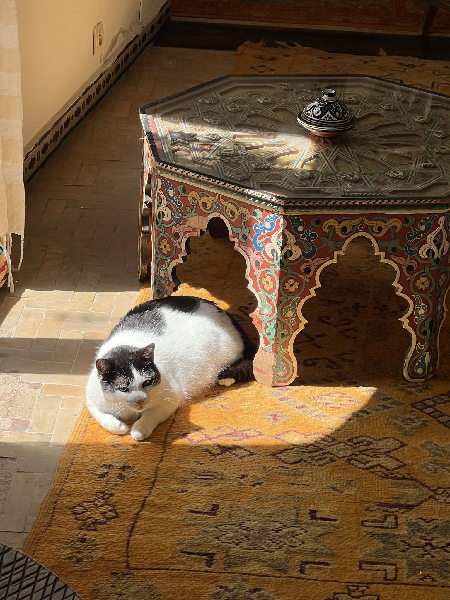 Foto - Riad Oasis d'Asilah