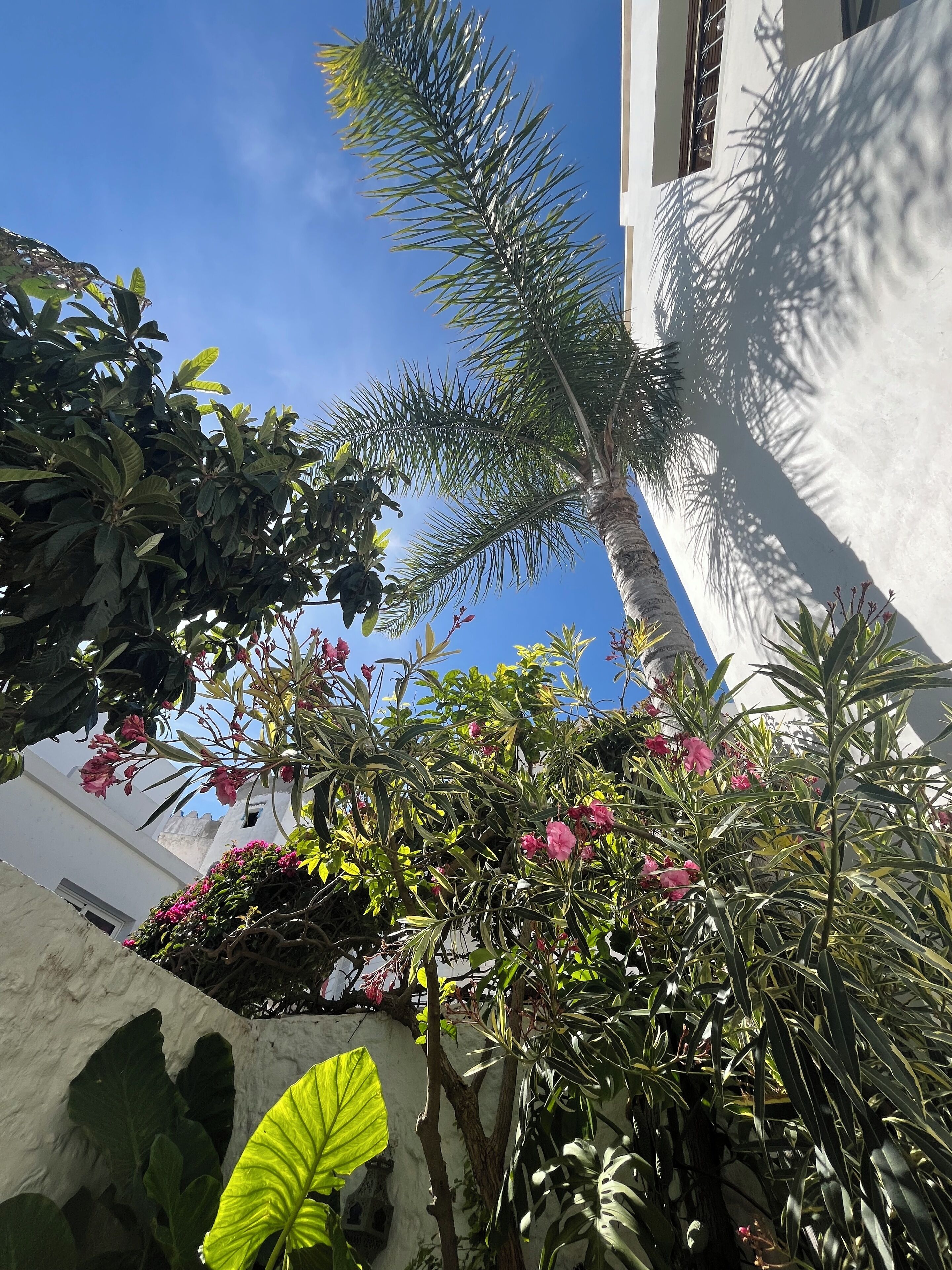 Foto - Riad Oasis d'Asilah