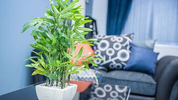 A potted plant on a table in a modern living room with a blue wall and patterned cushions.