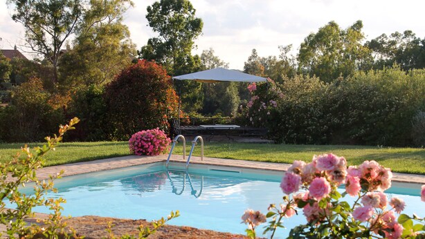 Una piscina con cubierta de madera y mesa de picnic bajo una pérgola, rodeada de abundante vegetación y arbustos florecientes.