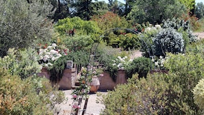 Un jardín con diversas plantas y flores, un muro de piedra y un arco de metal.