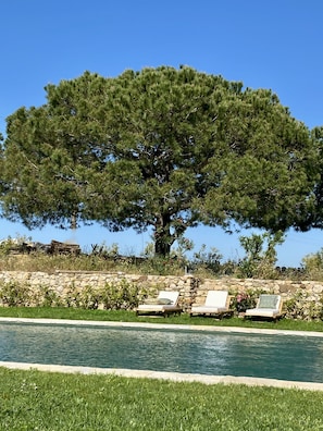 Außenpool, geöffnet von 09:00 Uhr bis 19:00 Uhr, Sonnenschirme