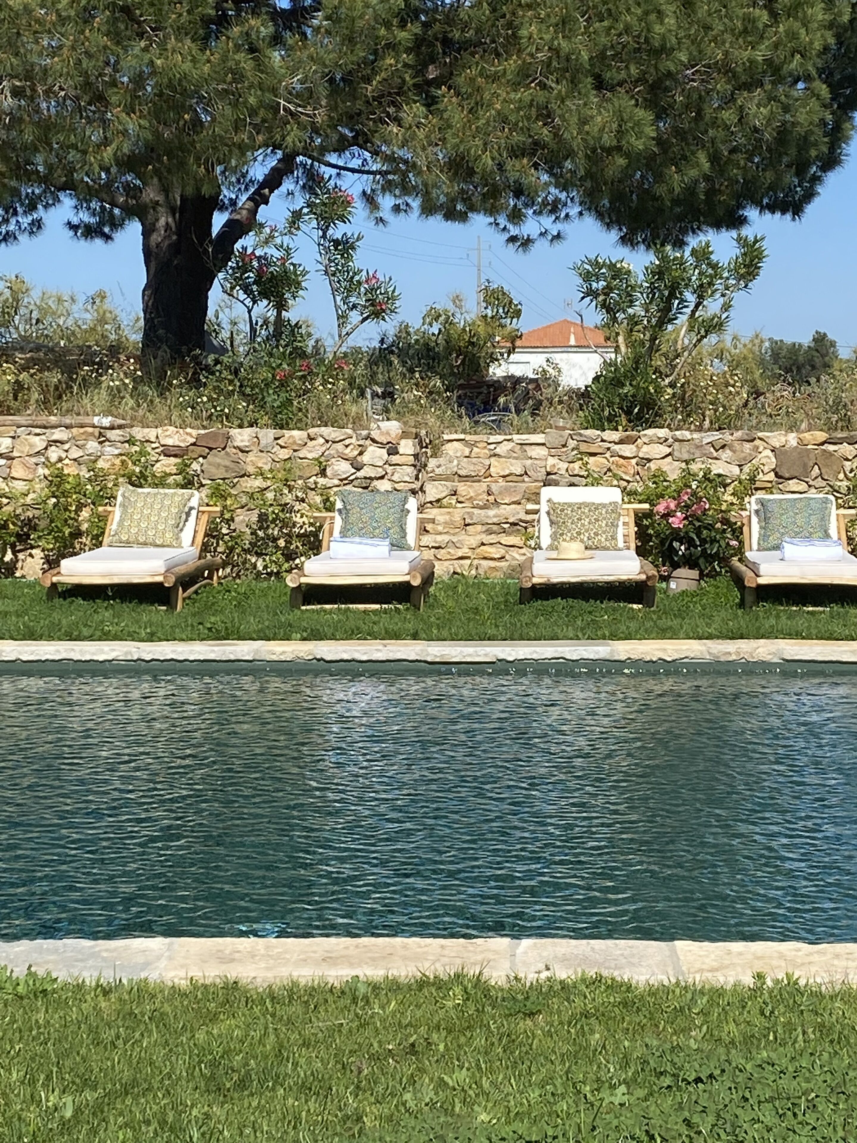 A poolside area with four lounge chairs, a stone wall, and a large tree.