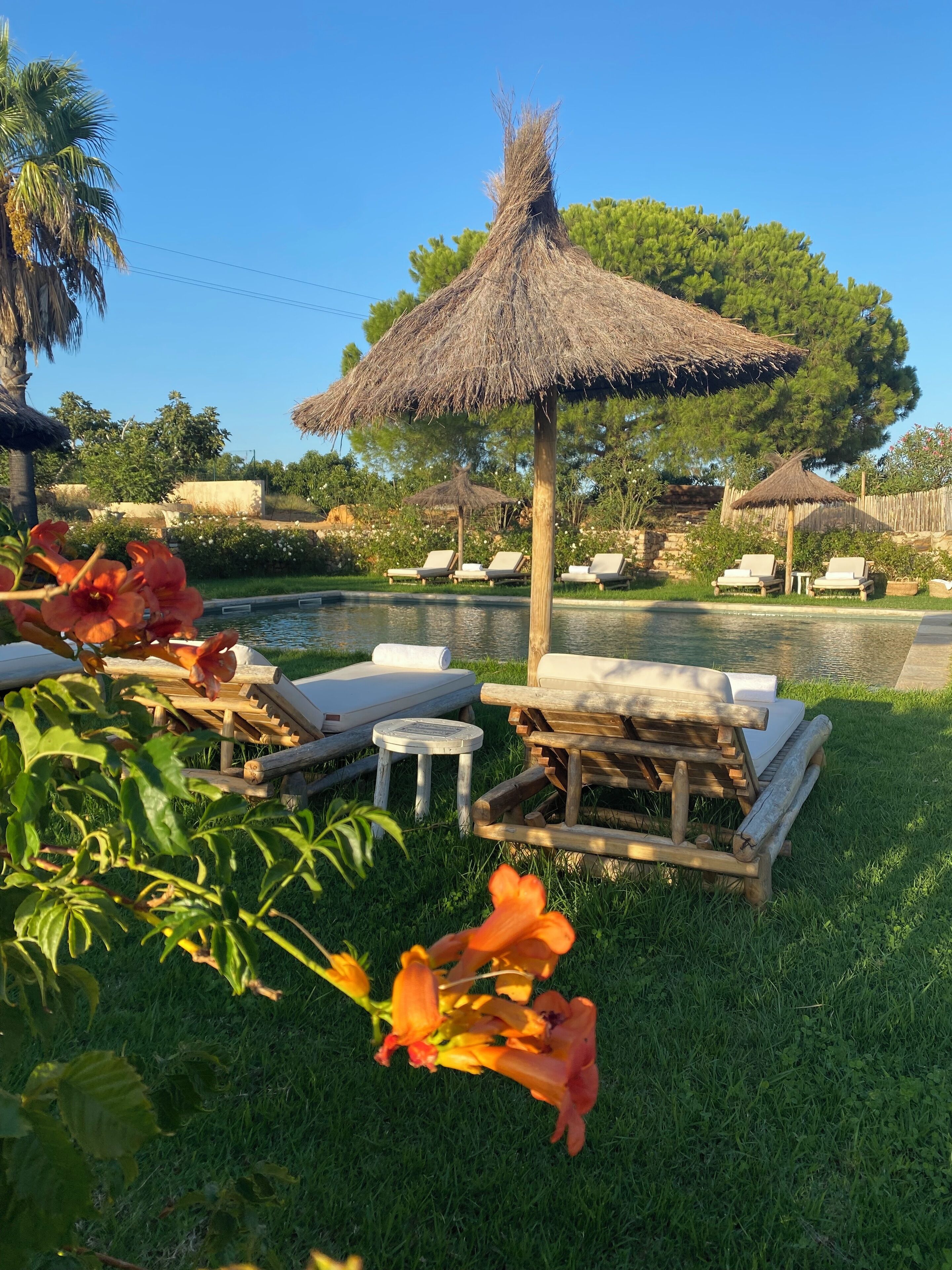 Kolam renang outdoor, dengan payung kolam renang dan kursi berjemur