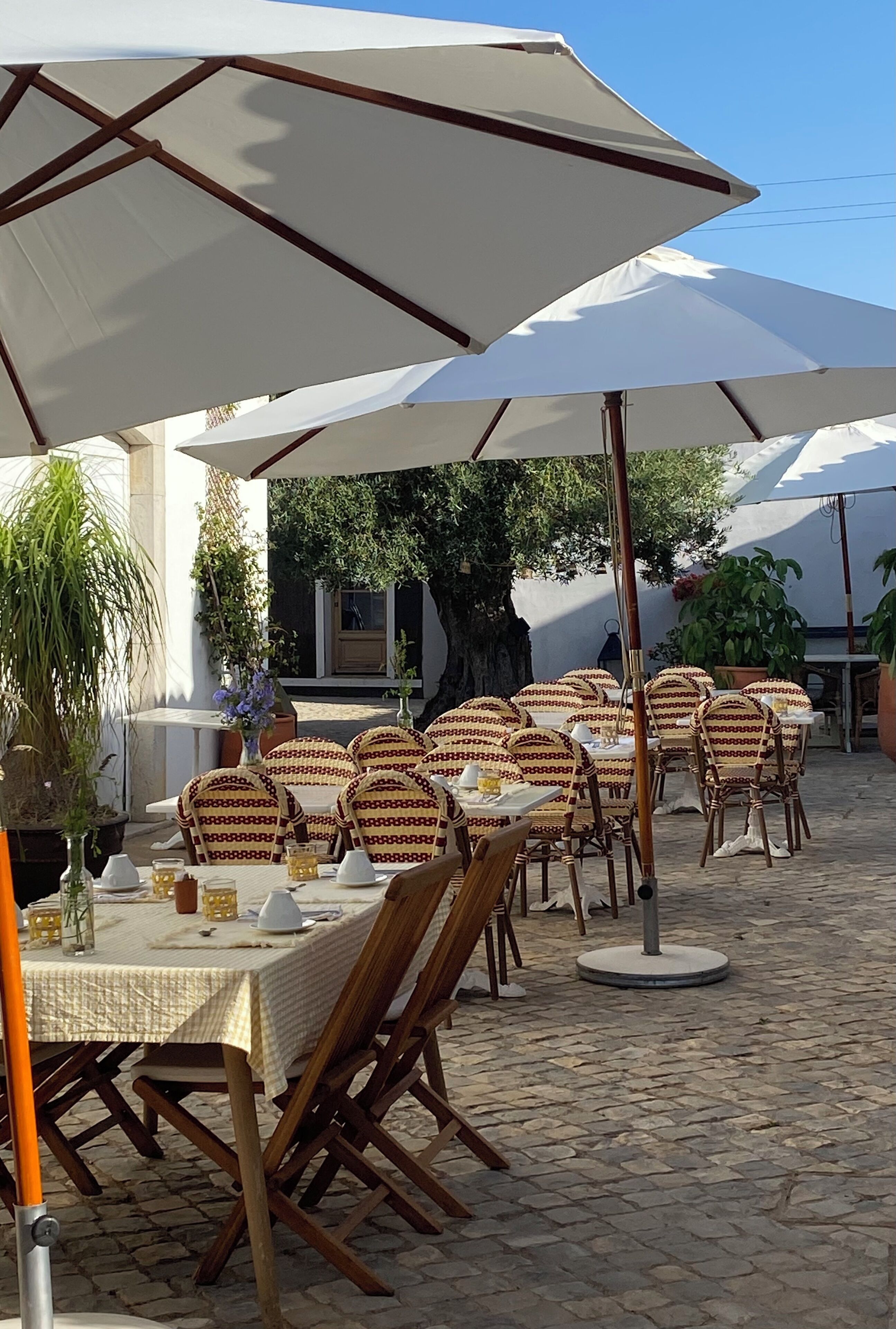 Un área de comedor al aire libre con mesas y sillas de mimbre, rodeada de sombrillas grandes.