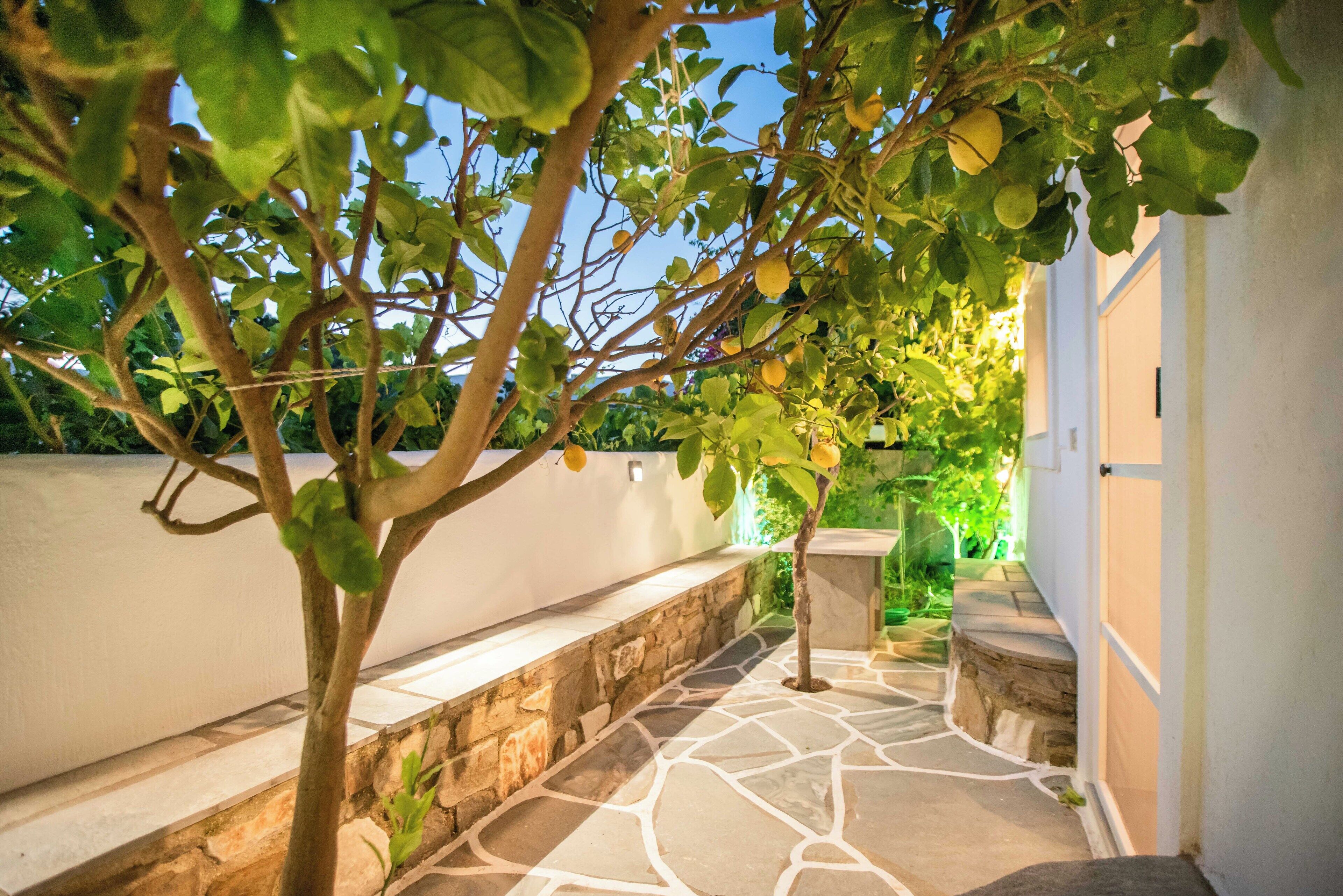 Shared Dormitory, 1 Bedroom | Garden