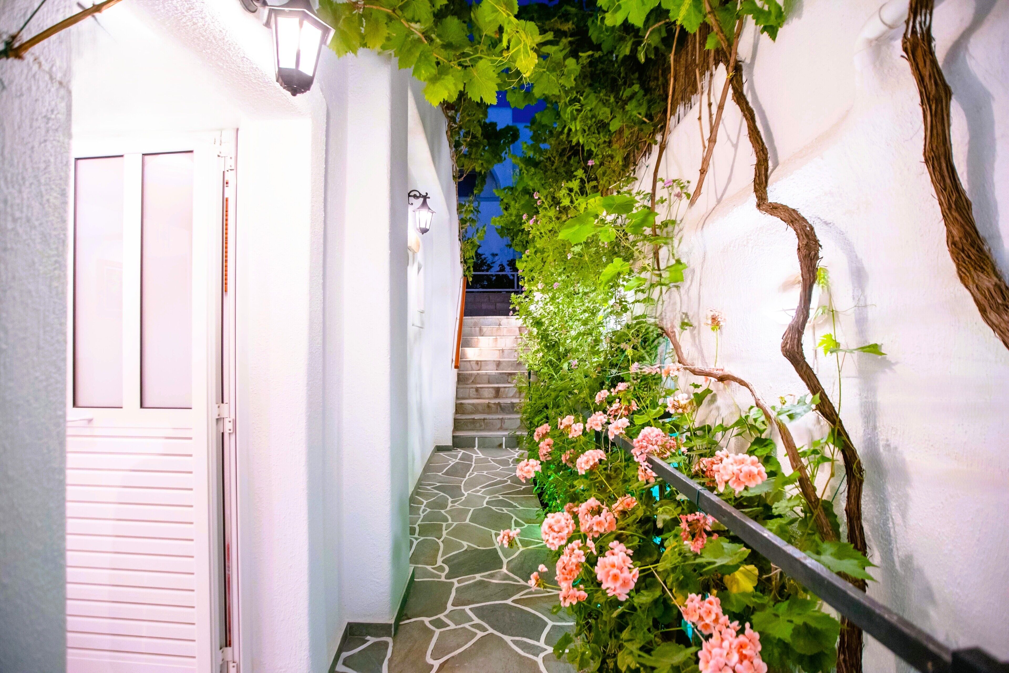 Giardino