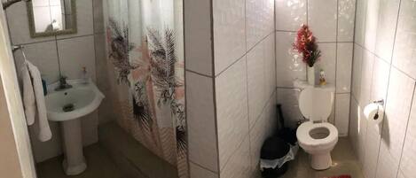 A bathroom with a sink, toilet, and shower curtain.