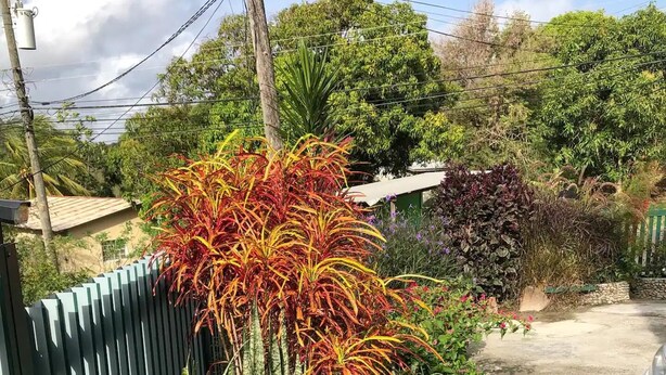 A garden with various plants, a metal fence, and a parked car. - Family Friendly 2-bedroom Apartment in Vieux Fort (Vieux Fort)