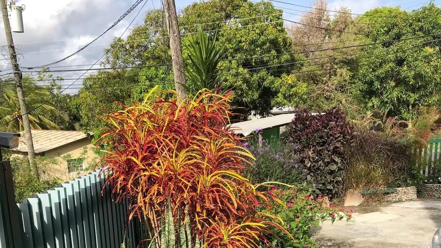 Family Friendly 2-bedroom Apartment in Vieux Fort