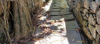 Casa Estilo Buziano Próxima à Orla Bardot e Rua das Pedras e de Várias Praias