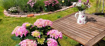 Nature, tranquility, and relaxation in a forest- and lake-rich setting.