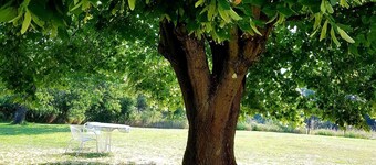 Nature, tranquility, and relaxation in a forest- and lake-rich setting.