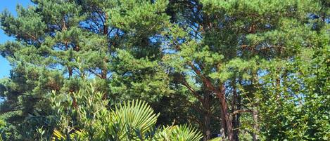 Terrain de lâhĂ©bergement