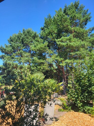 Auszeit in Ahlbeck am Stettiner Haff