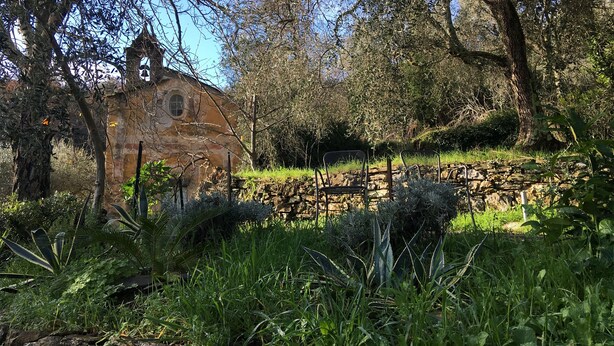 Un edificio rustico in pietra con un campanile, immerso nel verde e circondato da un muro di pietra.