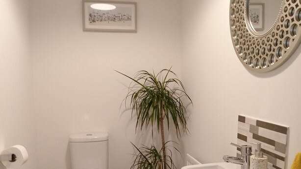 Une salle de bain équipée de toilettes, d’un lavabo, d’un miroir et d’une plante en pot.
