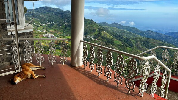 Property grounds - Sky House: Cliff Villa in Kodaikanal. Pet Friendly! (Kodaikanal)