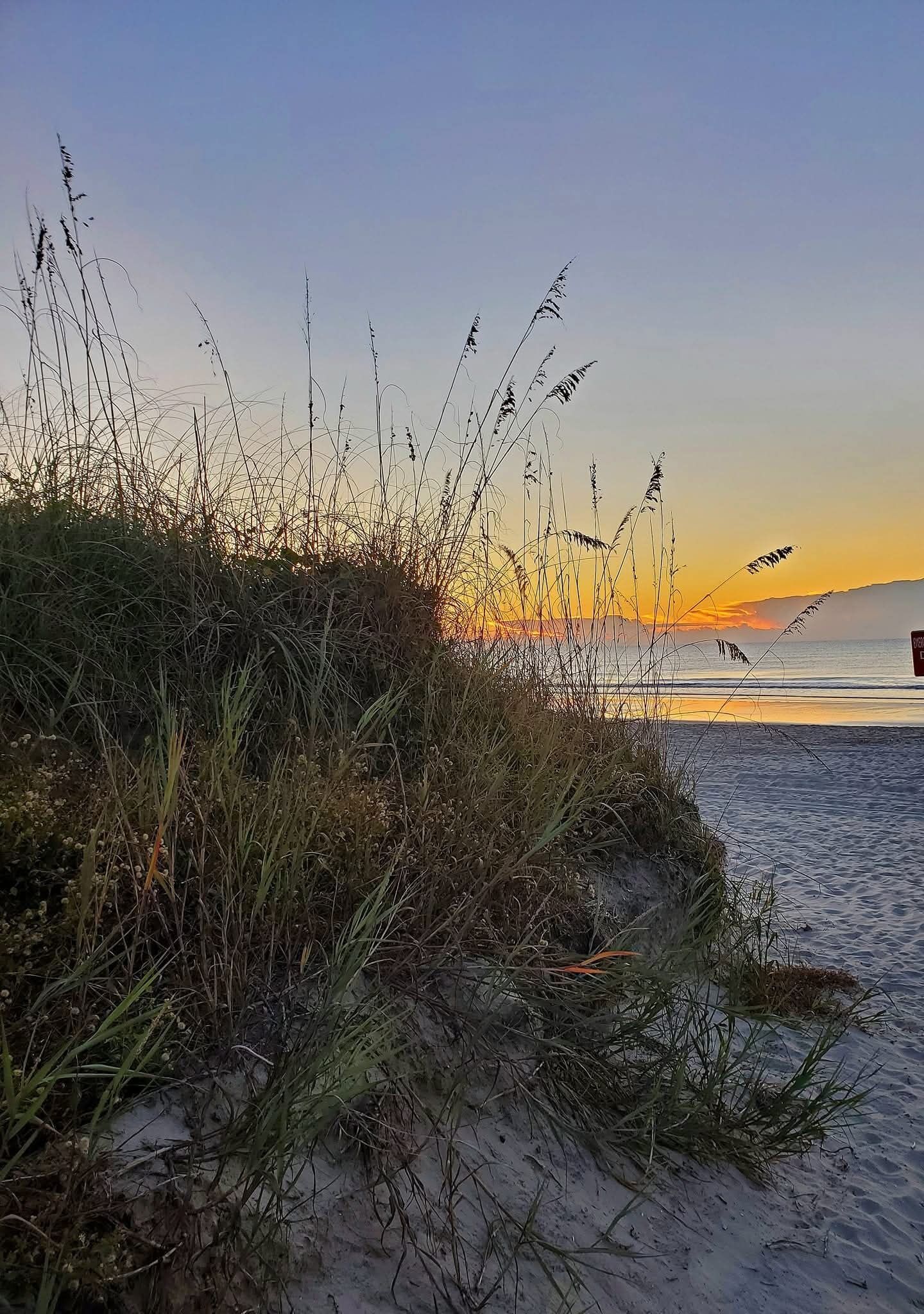 Ligstoelen aan het strand