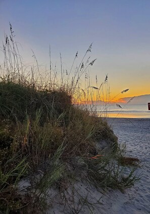 A beach with grass and sand, and a sunset in the background.