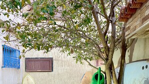 شرفة/رواق