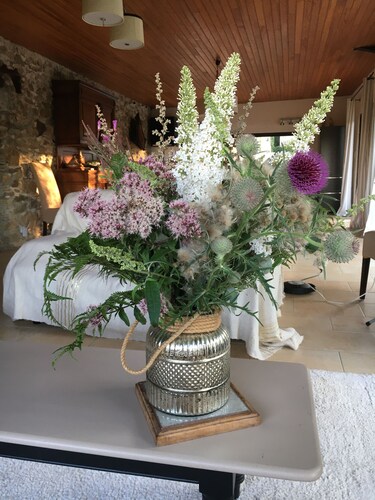 Gîte 4* avec vue imprenable au coeur du Parc naturel Régional du Haut-Languedoc