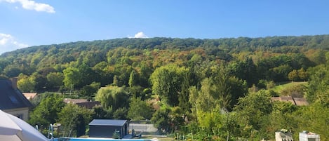 Alberca