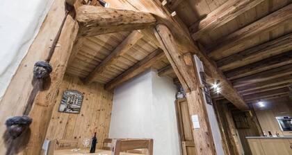 Beautiful apartment in a chalet, ANCOLIE RDC