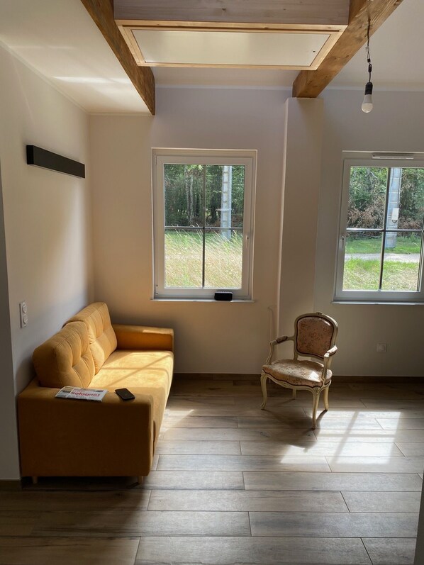 Fireplace - Tiny House in Sologne (Fontaines-en-Sologne)