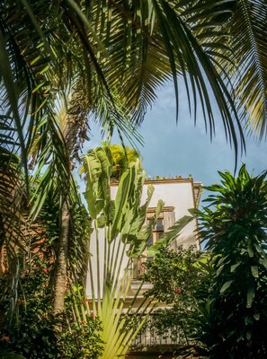 Detall de l'exterior