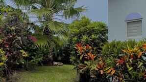 Un jardin avec différentes espèces de plantes et un bâtiment à l’extérieur blanc, agrémenté de bordures bleues.